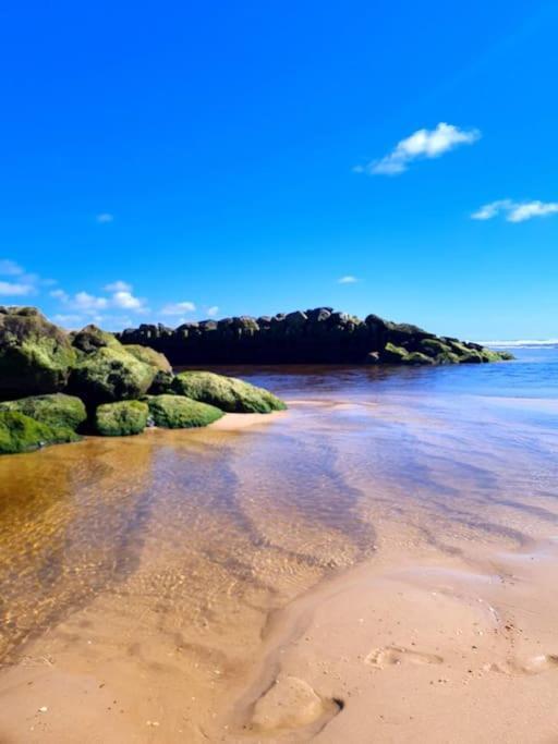 Superbe Studio A 8Mn En Voiture De La Plage Linxe ภายนอก รูปภาพ